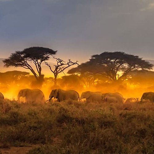 Best Africa Cruise Deals