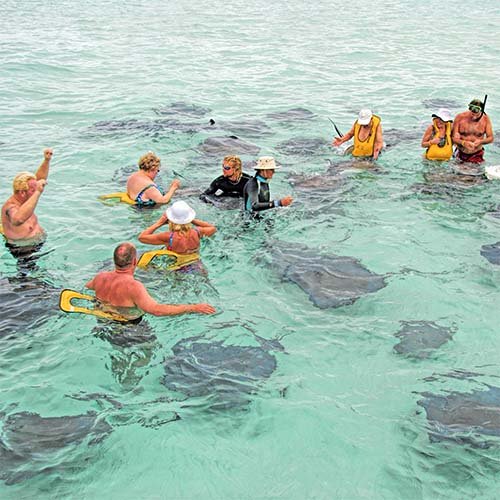 Best Western Caribbean Cruise Deals